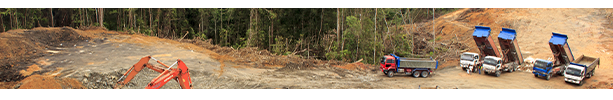 deforestation