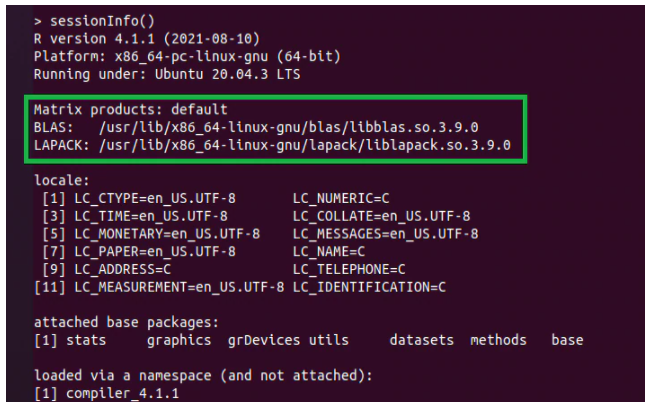 Output showing R without oneMKL
