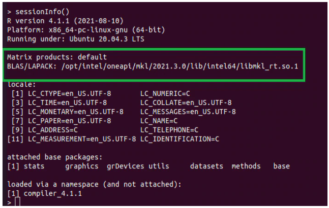 Putput showing R using oneMKL