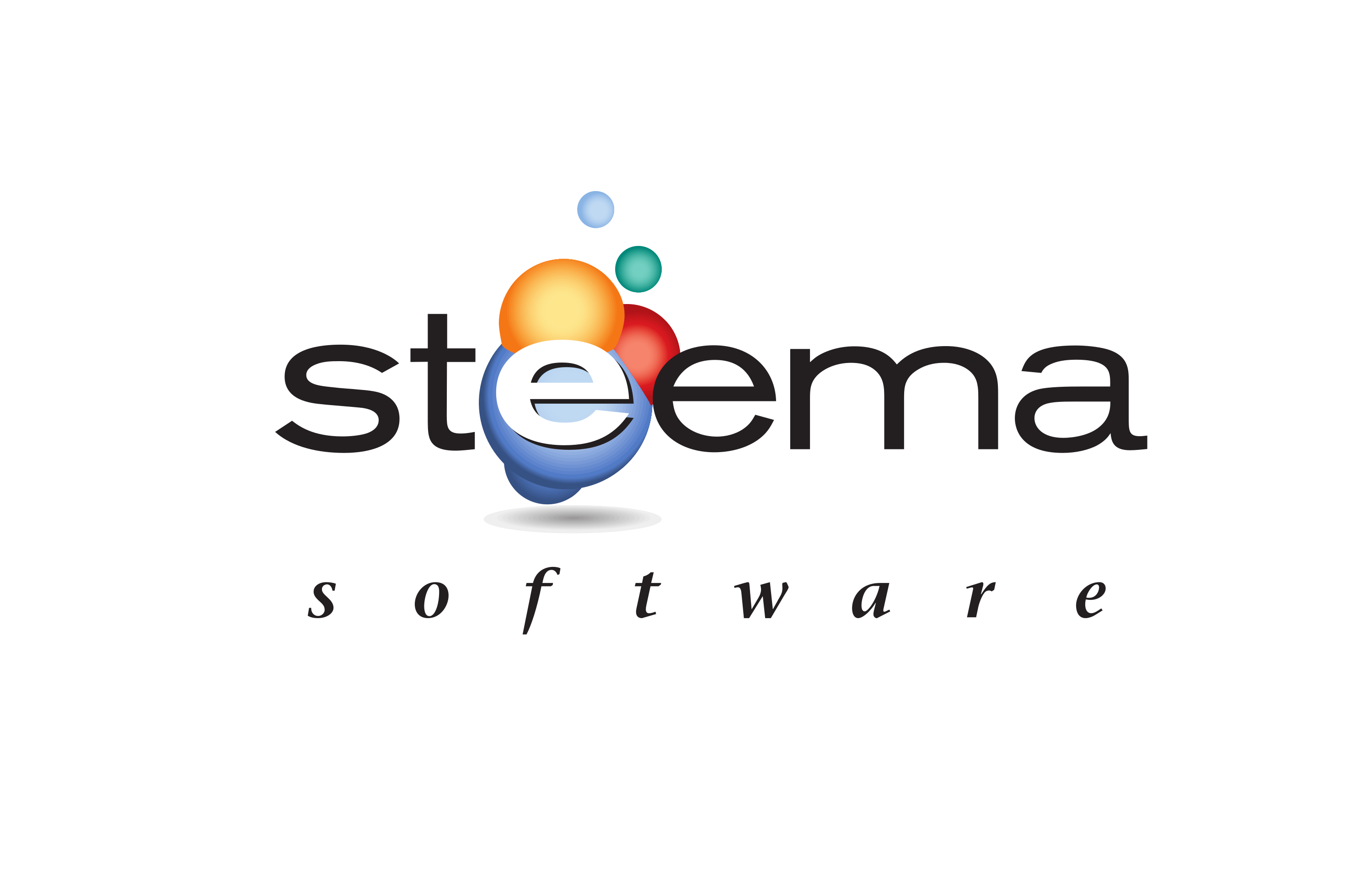 Steema Software logo